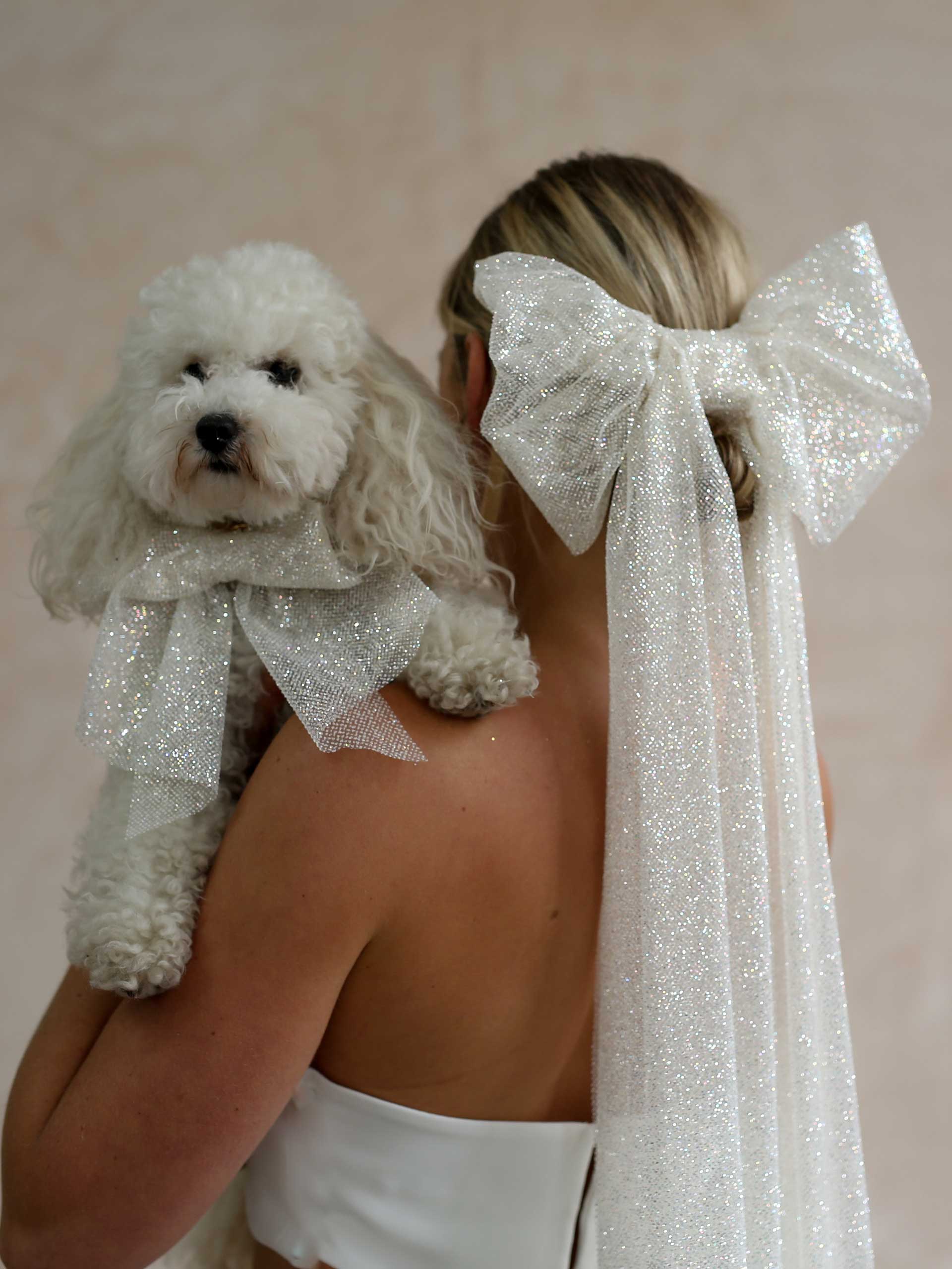 dog-accessories-image-8